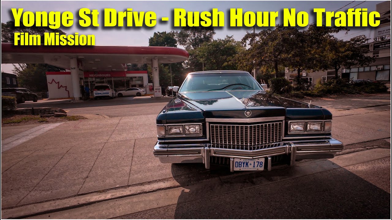 A Tragic Mass Extinction Has Happened in My Rainforest Vivariums – content – WESHH