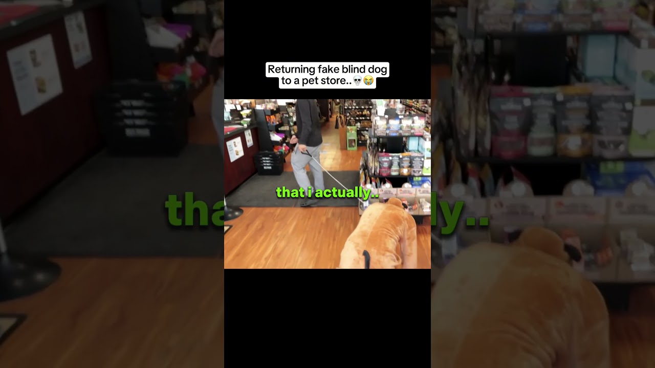 El Chino Piloto — El Chapo’s Pilot! 🇲🇽 – content – WESHH