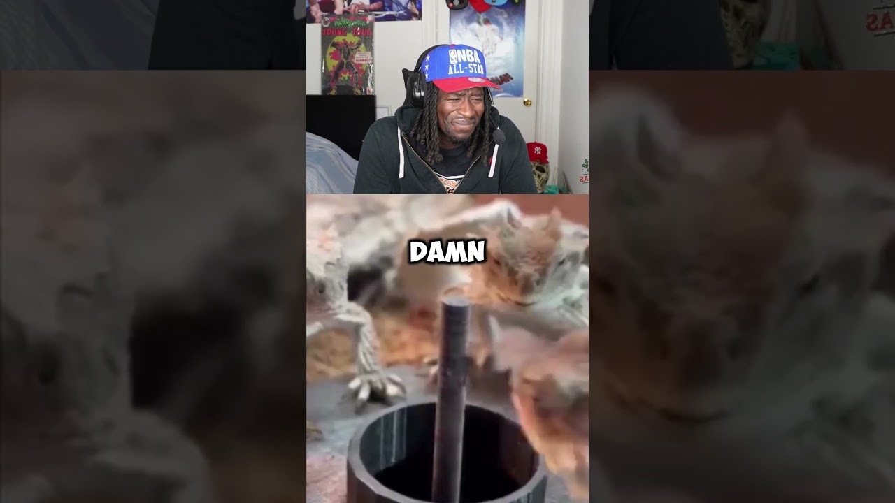 Here Comes The Snow Again Falling On The Ground Like A Memory ❄️❄️🎶🎶 – content – WESHH