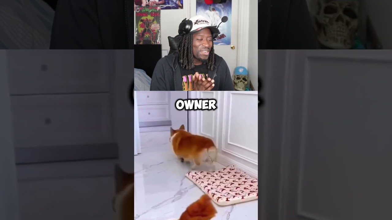 This decision is key for entertainment purposes #jumpershouse #skit – content – WESHH