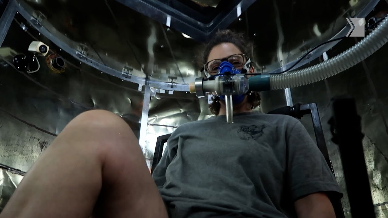 A Tragic Mass Extinction Has Happened in My Rainforest Vivariums – content – WESHH