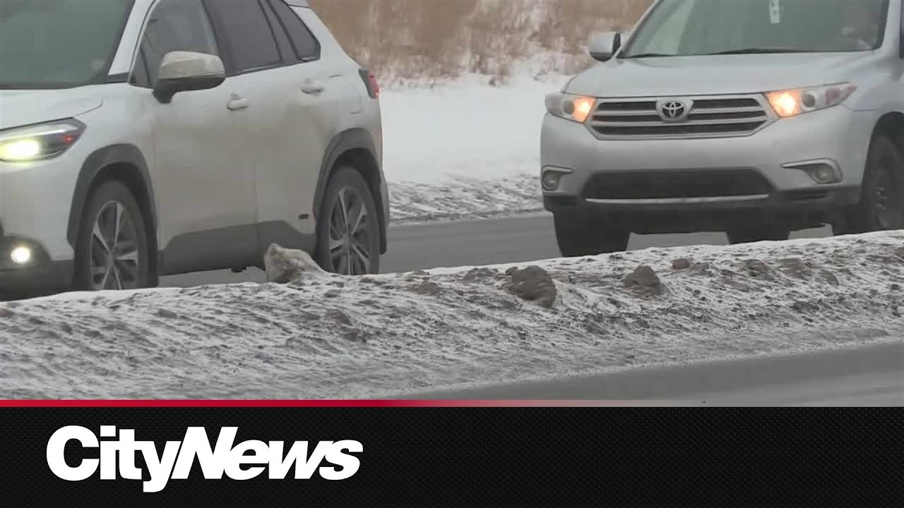 Ladies Love Drama – Live From Still Tippin With Angel Banks – Hosted By Drama Drae – content – WESHH