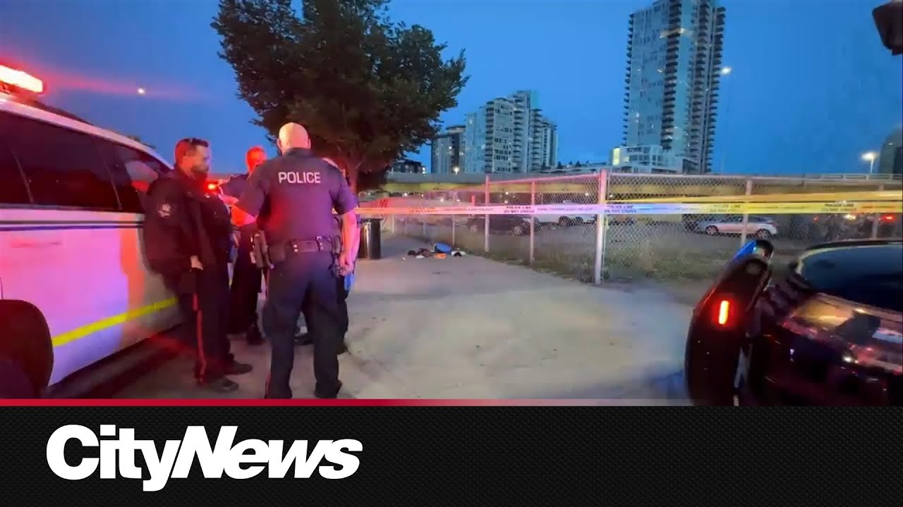 Police search for driver in deadly North York hit-and-run – Toronto rapper – content – WESHH