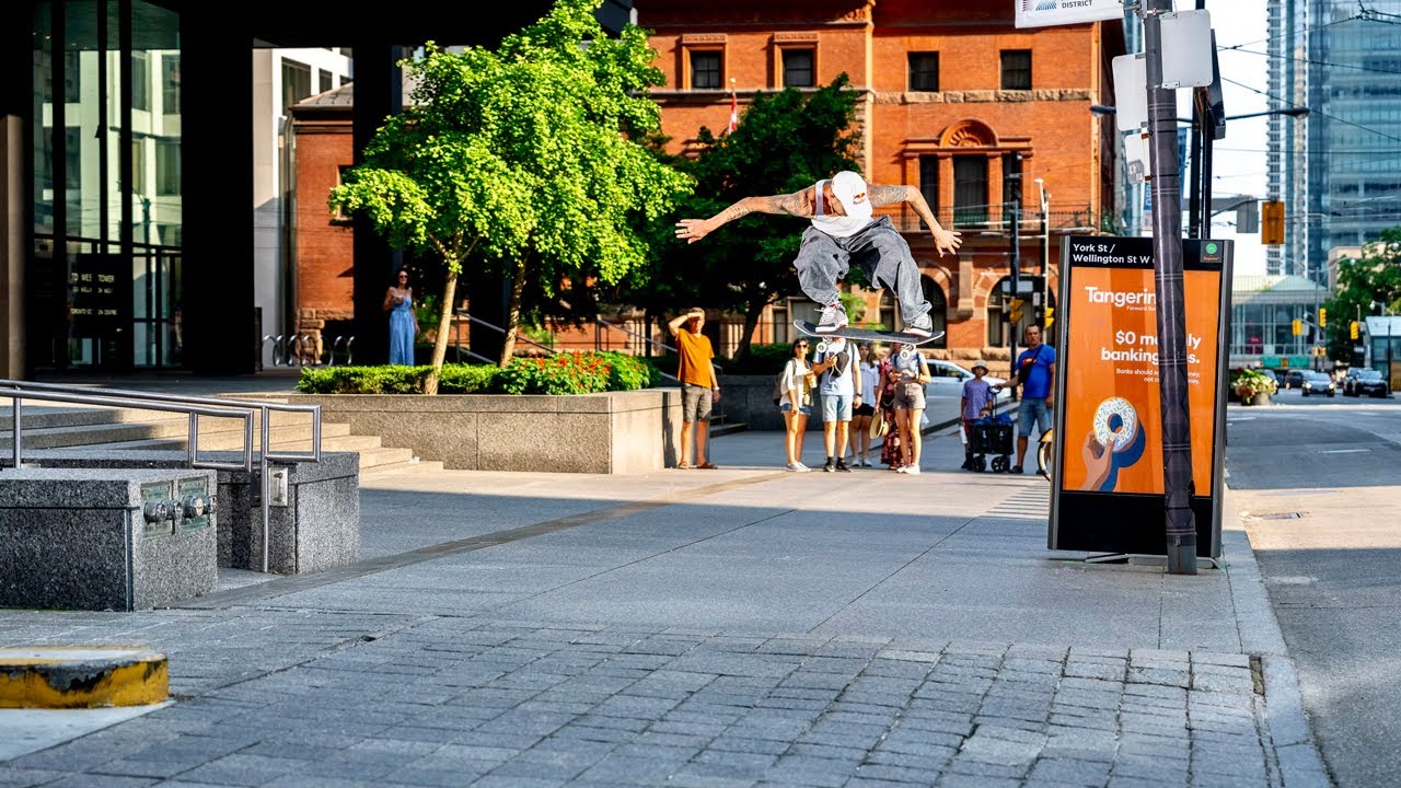 A Tragic Mass Extinction Has Happened in My Rainforest Vivariums – content – WESHH