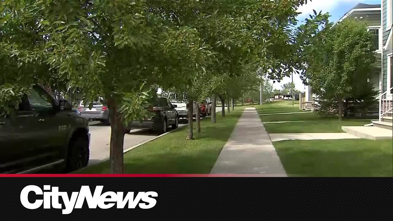 Ravine fire sparks evacuations, road closures in Midtown – Toronto rapper – content – WESHH