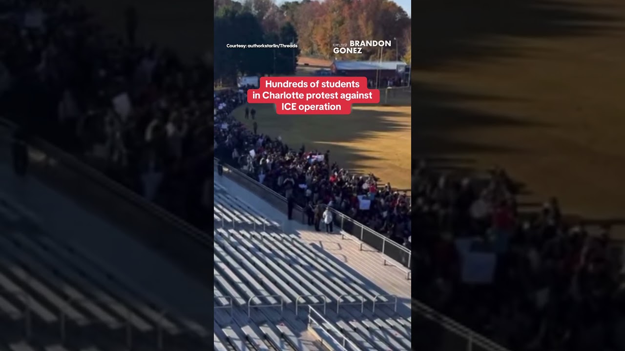 Rate my hair without hurting my feelings 😭✨ – content – WESHH