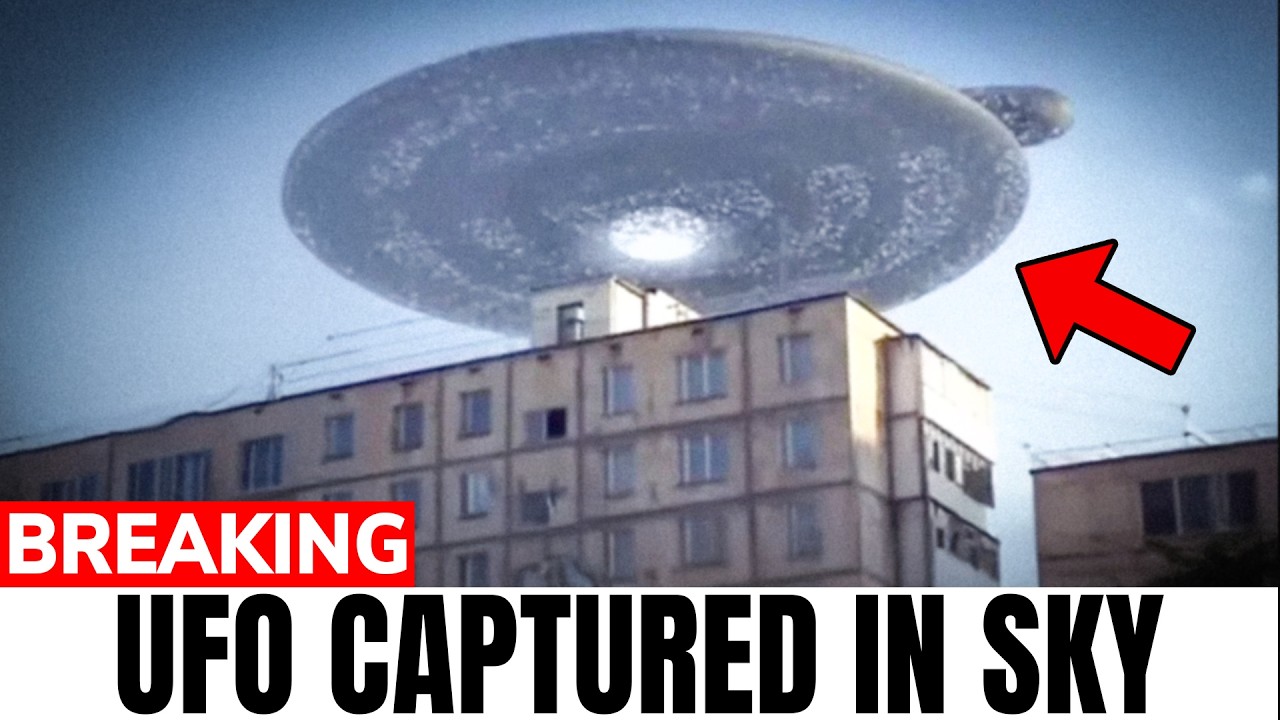 I launched my own AI platform and made 0k in 4 hours – content – WESHH