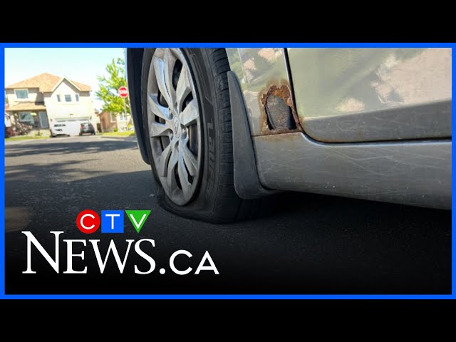 Orillia police make major drug bust in Simcoe County – content – WESHH