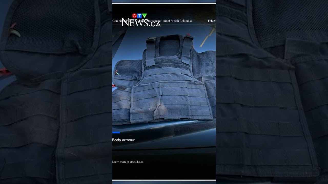 B.C. man sent to prison after traffic stop reveals weapons