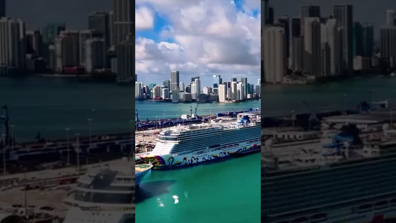 He’s WILD for saying THIS #jumpershouse – content – WESHH