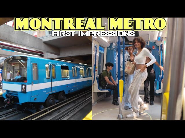 Olivia makes the best fried rice ? Yall gotta see this recipe!! #reaction β content β WESHH