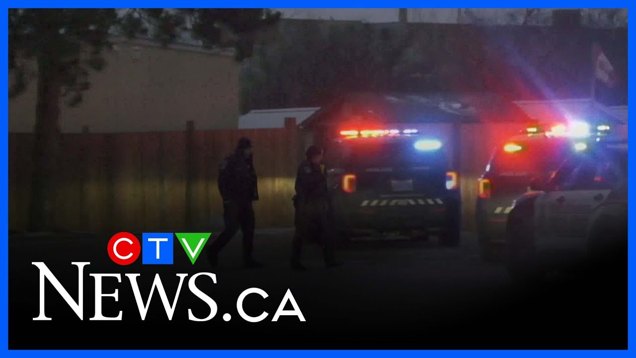 yal gotta see this man ahaha #food #wlw #caribbeanfood – content – WESHH