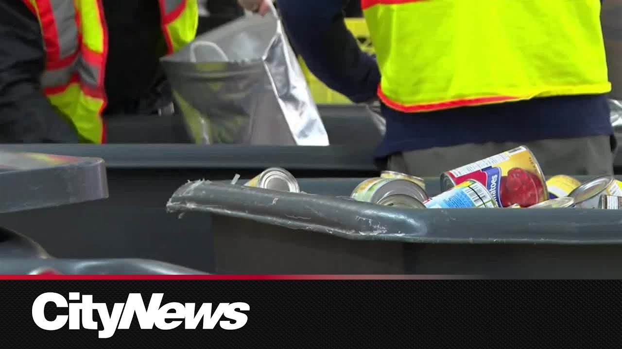 Rate my hair without hurting my feelings 😭✨ – content – WESHH