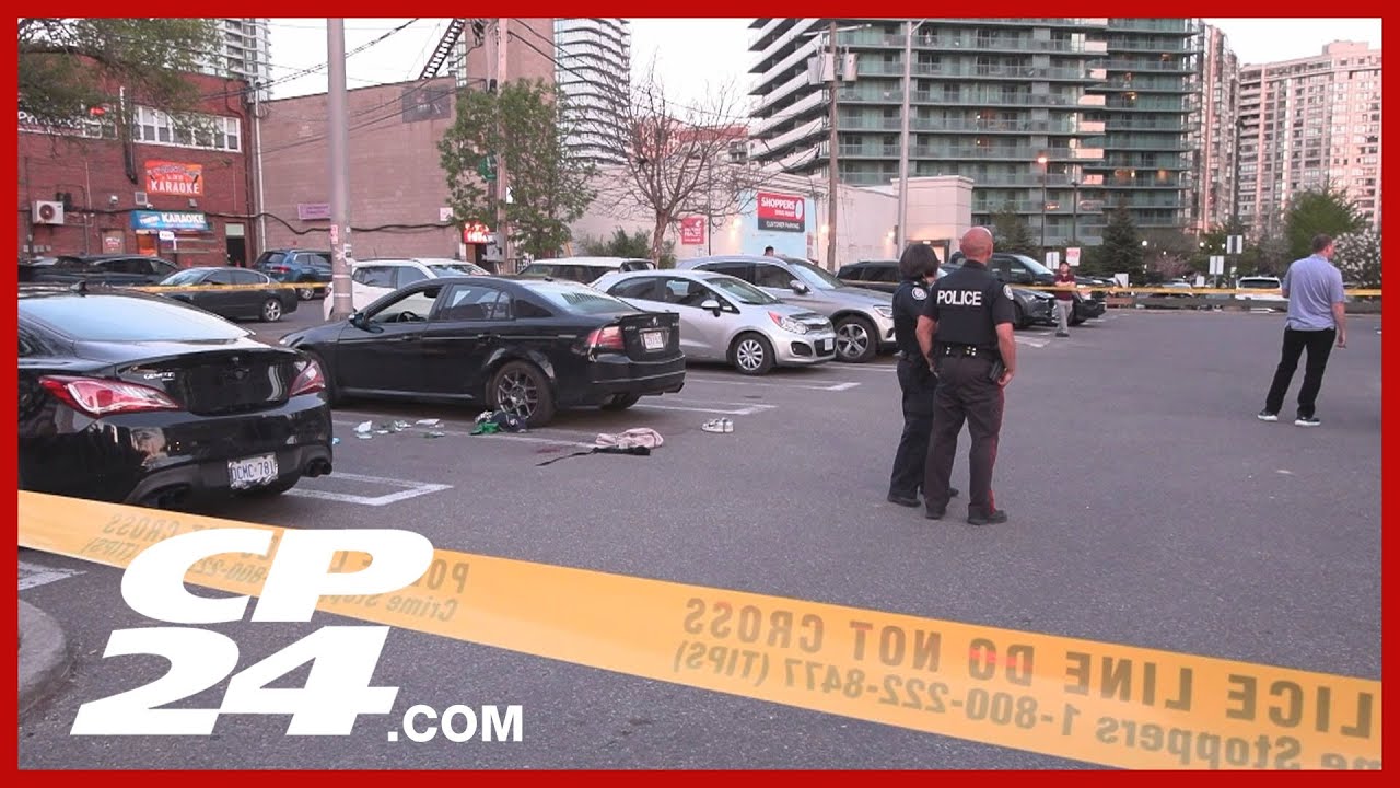 Suspect sketch released in assault of elderly woman in Ajax – Toronto rapper – content – WESHH