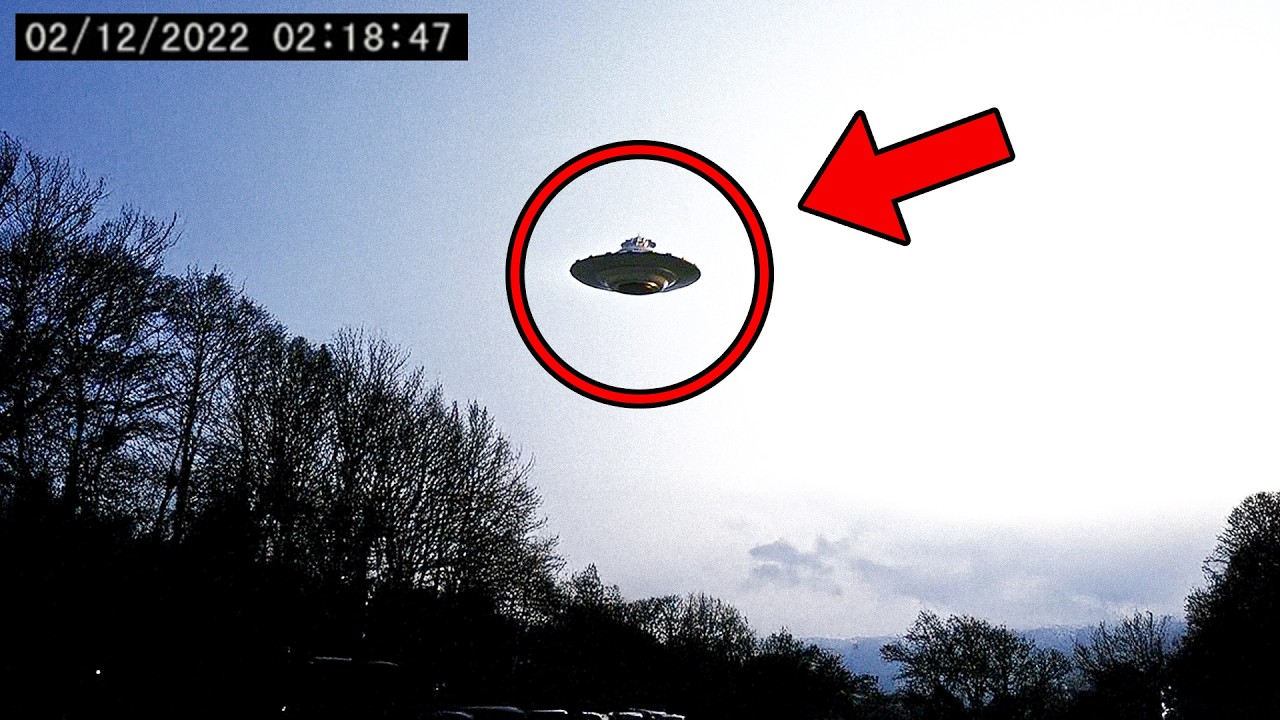 EVERY Dumpling & Da Hawaiian Hitman Power Slap Win (so far) π β content β WESHH