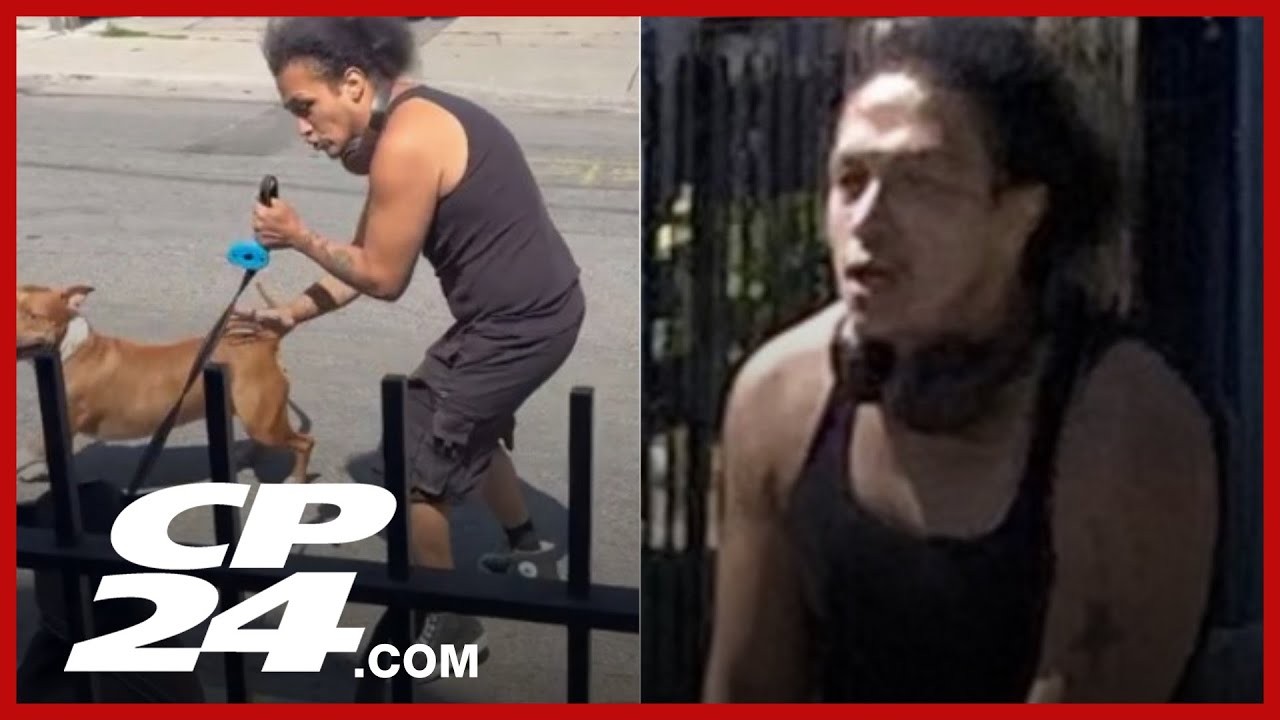 Police search for driver in deadly North York hit-and-run – Toronto rapper – content – WESHH