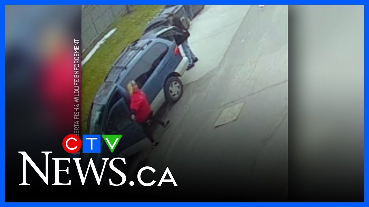 RICHMOND HILL HATE CRIME – Toronto rapper – content – WESHH