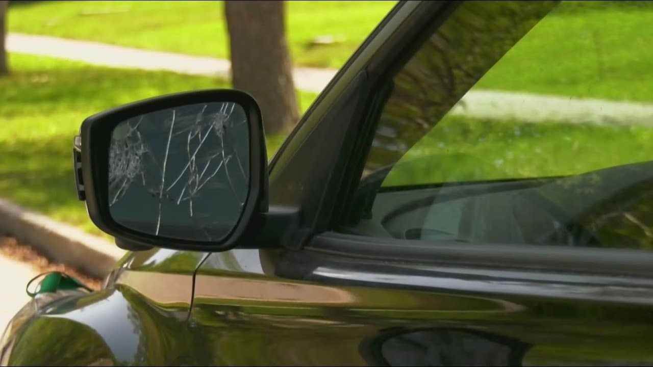 Overnight smashing spree leaves cars damaged in Winnipeg