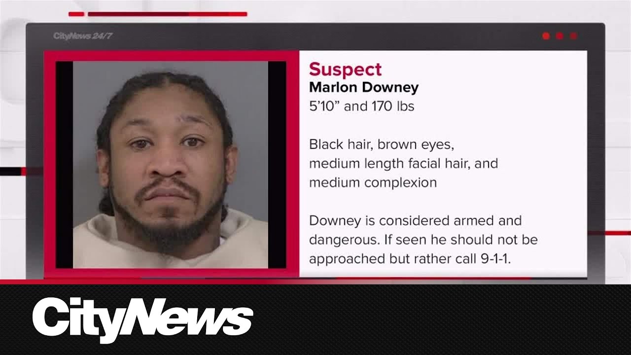 Suspect sketch released in assault of elderly woman in Ajax – Toronto rapper – content – WESHH