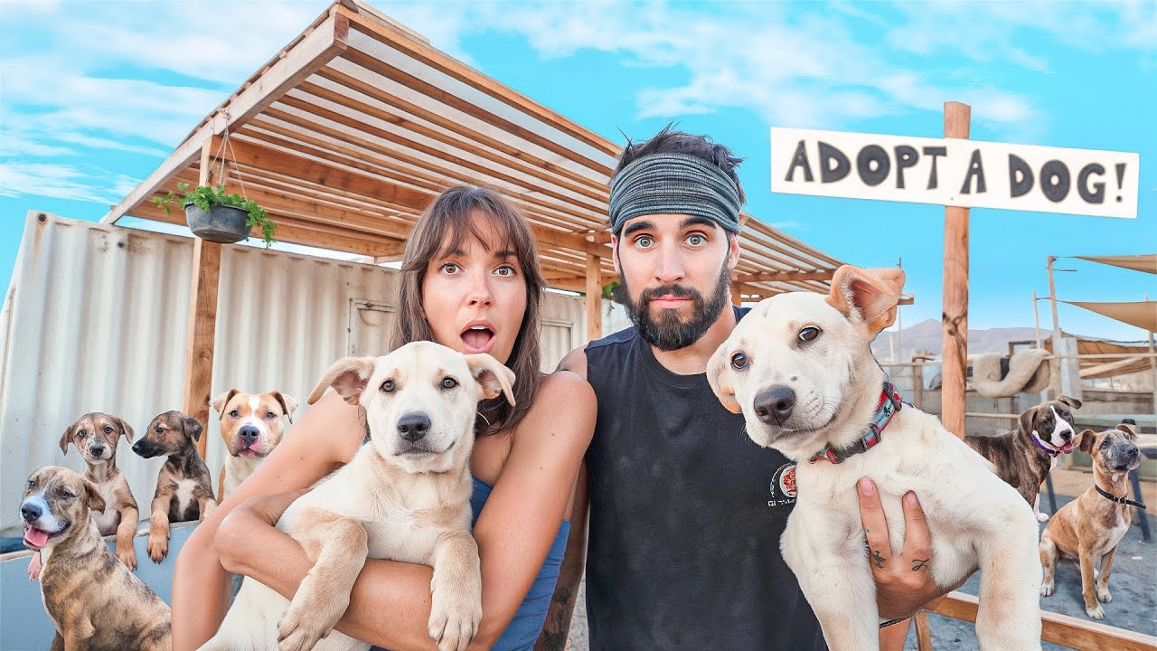 End of the Sicilians in Canada? Here’s Who Could Take Control of Canadian Underworld – content – WESHH