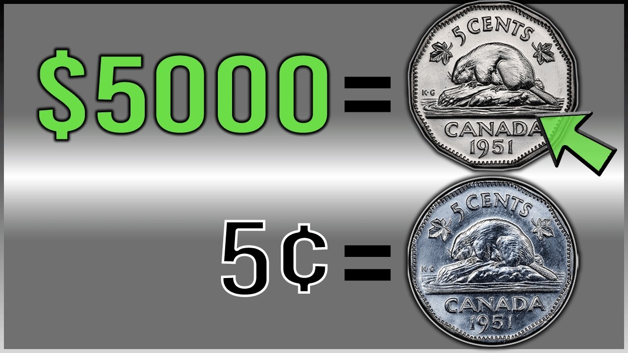 Canadian Girls React to DD Osama “Trim” 🔥 We LOVED This One! – Toronto rapper – content – WESHH