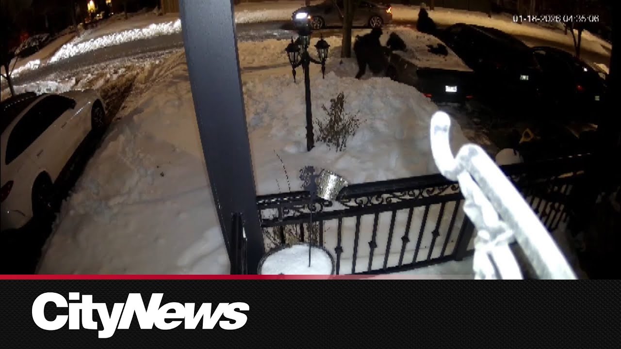 KAI & RAKAI REUNITE #tamil #india – content – WESHH