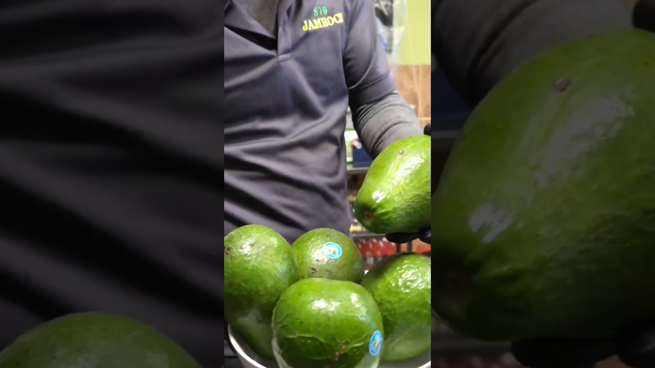 876 Jamrock behind the scenes