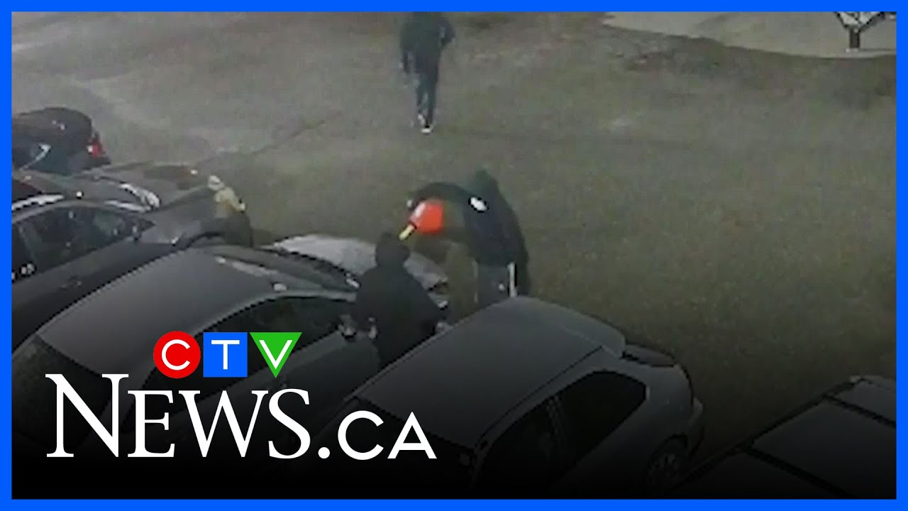 Do Toronto Blogs Pick Sides??? – Toronto rapper – content – WESHH