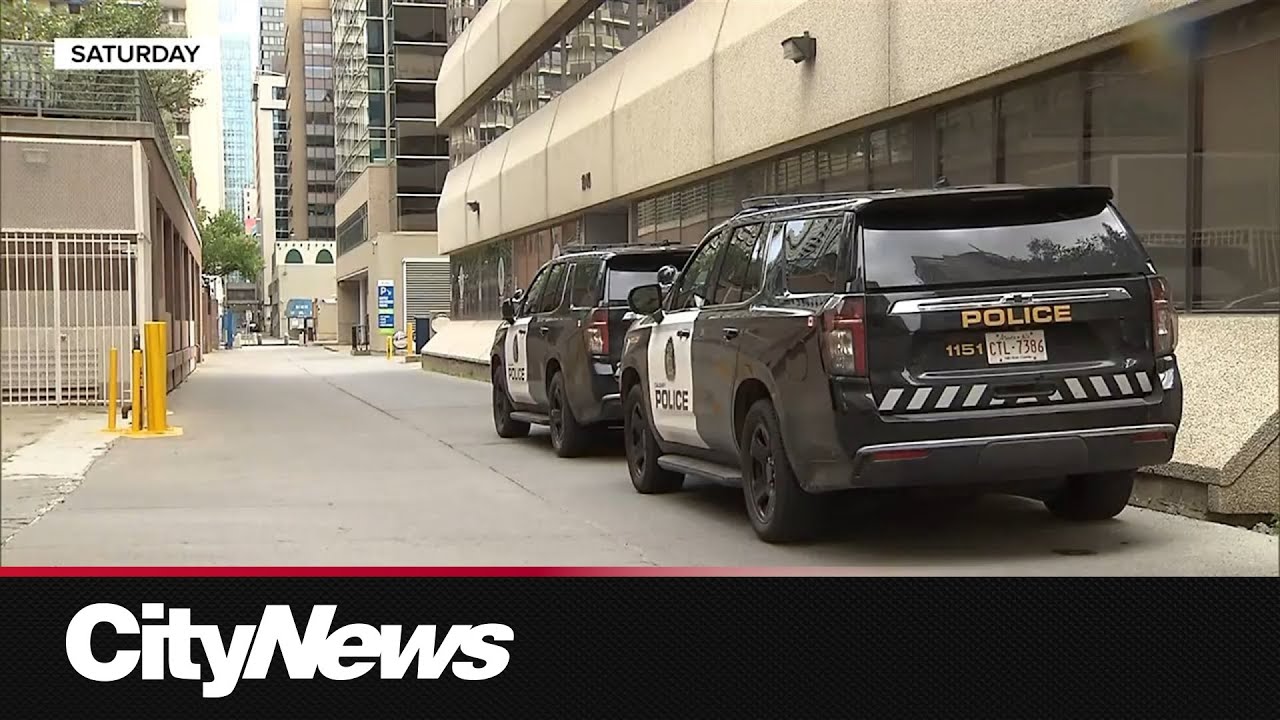 Police search for driver in deadly North York hit-and-run – Toronto rapper – content – WESHH