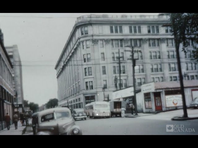 Had a female 💂 wanted me 2 stay hit it in April den i #leftinmaydeydrowning still tryna #CopyDaWave – content – WESHH