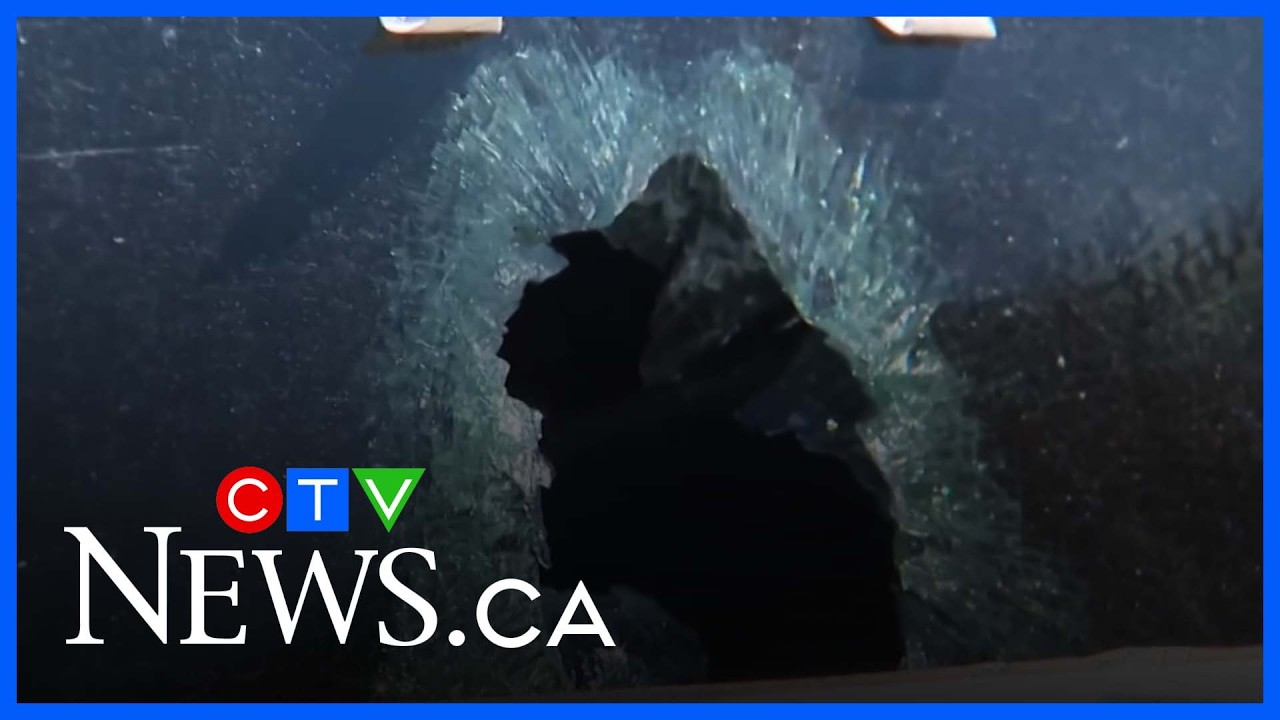 Three businesses shot at within close proximity in North York and Etobicoke