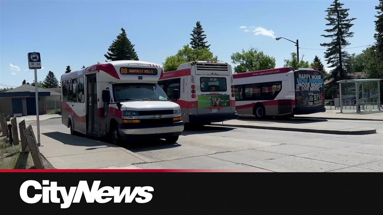 Orillia police make major drug bust in Simcoe County – content – WESHH