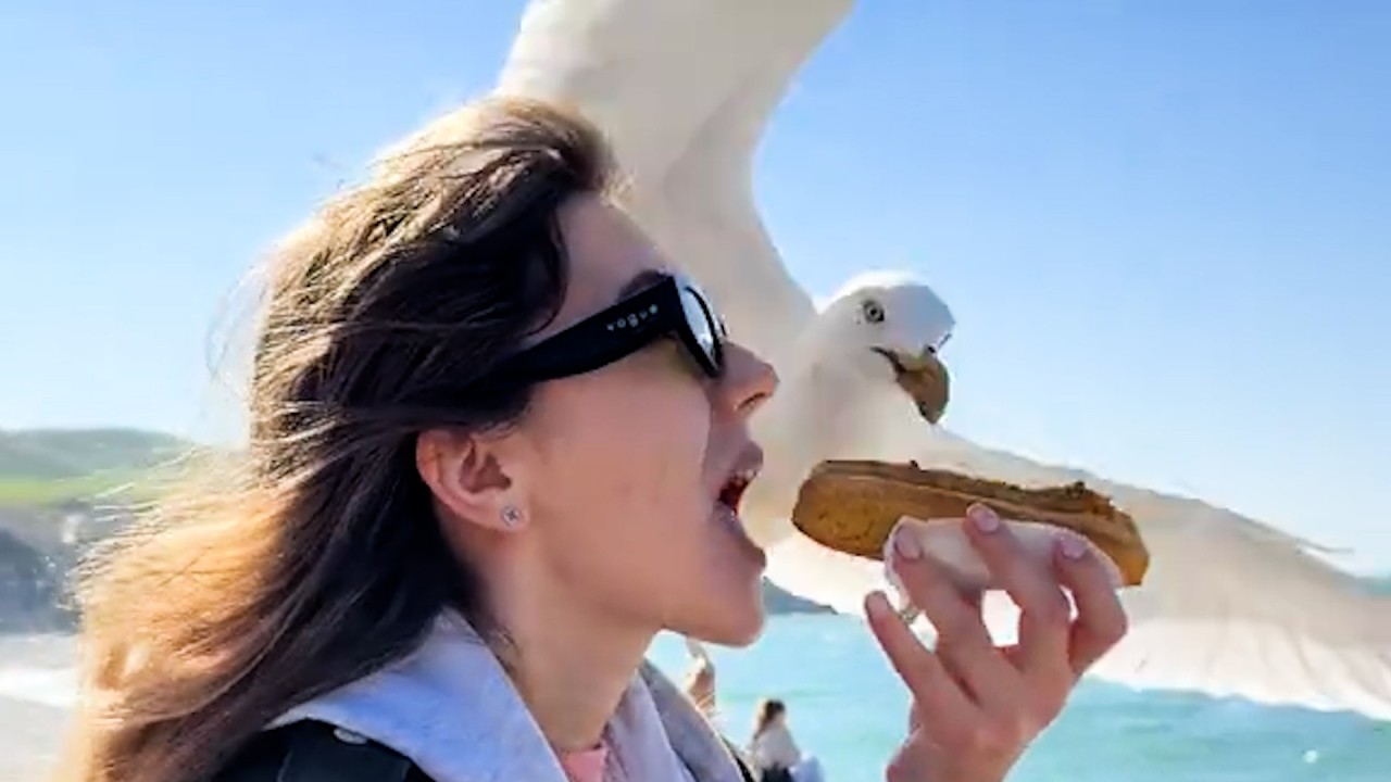 I Spent 24HRS In TORONTO CANADA With An AUDI Group! – Toronto rapper – content – WESHH