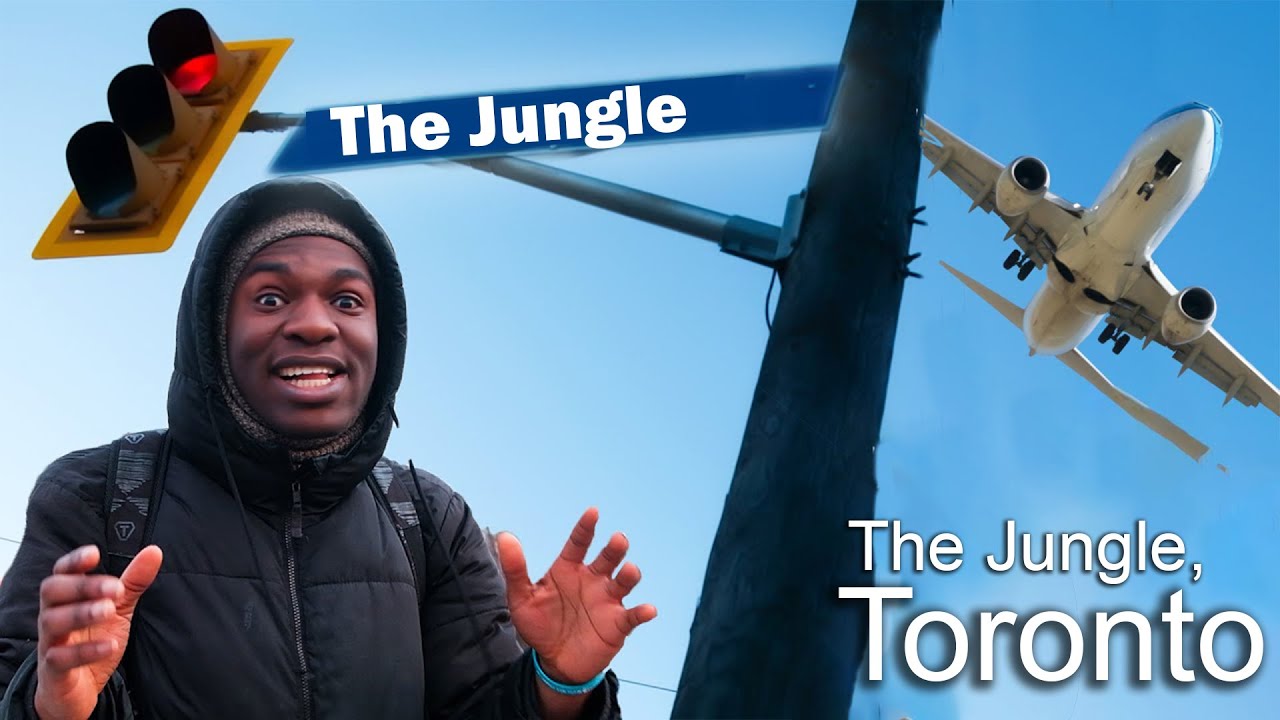 End of the Sicilians in Canada? Here’s Who Could Take Control of Canadian Underworld – content – WESHH