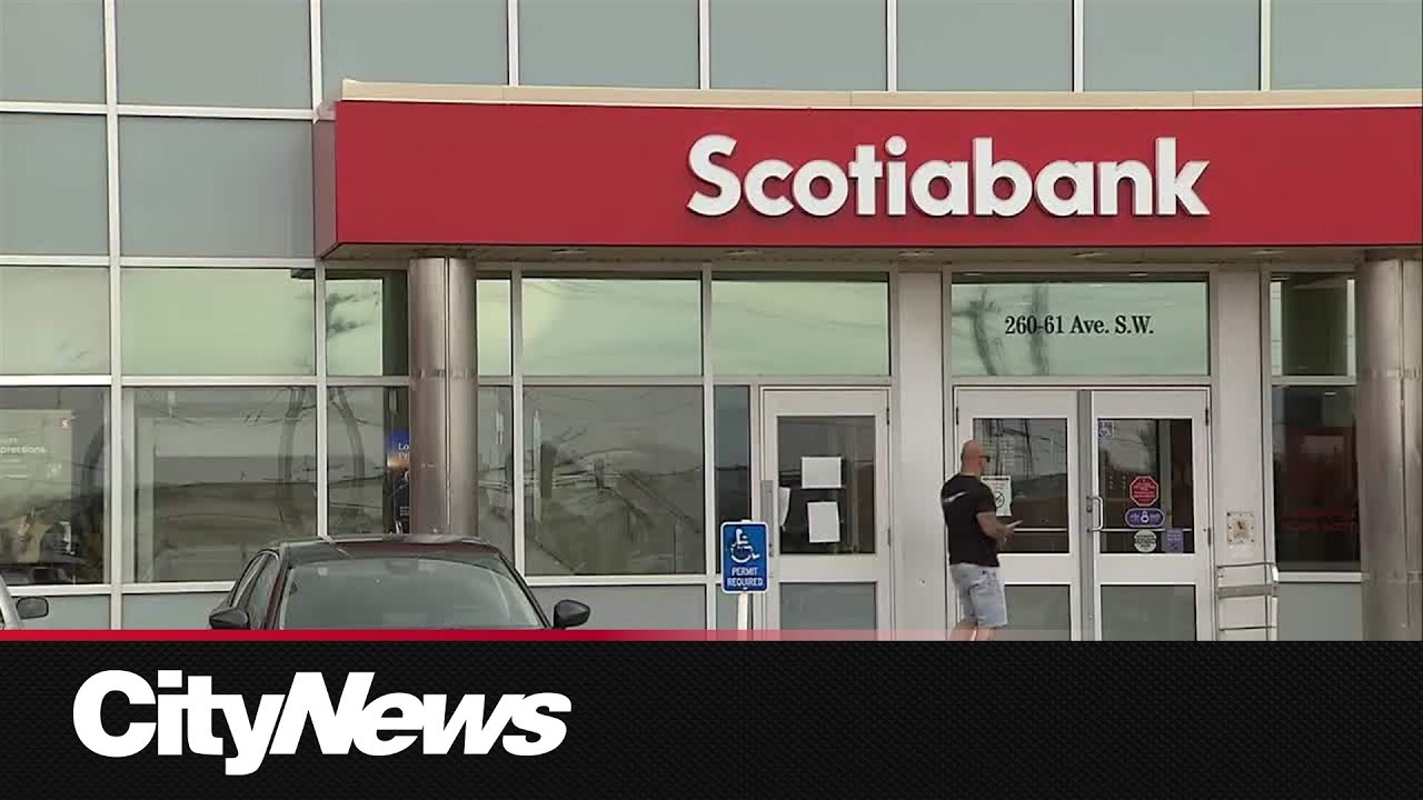 Police search for driver in deadly North York hit-and-run – Toronto rapper – content – WESHH