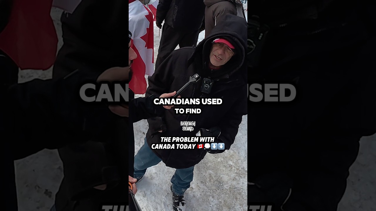 Is this the solution to Canada’s problems? 🇨🇦💭🤔⬇️⬇️ #explore #canada #politics #nationalnews