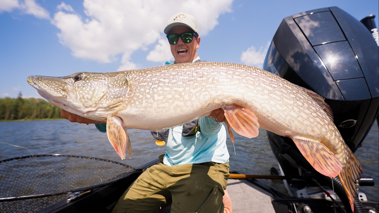 Exploring the Paranoid Country with 374,142 Bunkers to Hide Everyone (how is this possible?) – content – WESHH