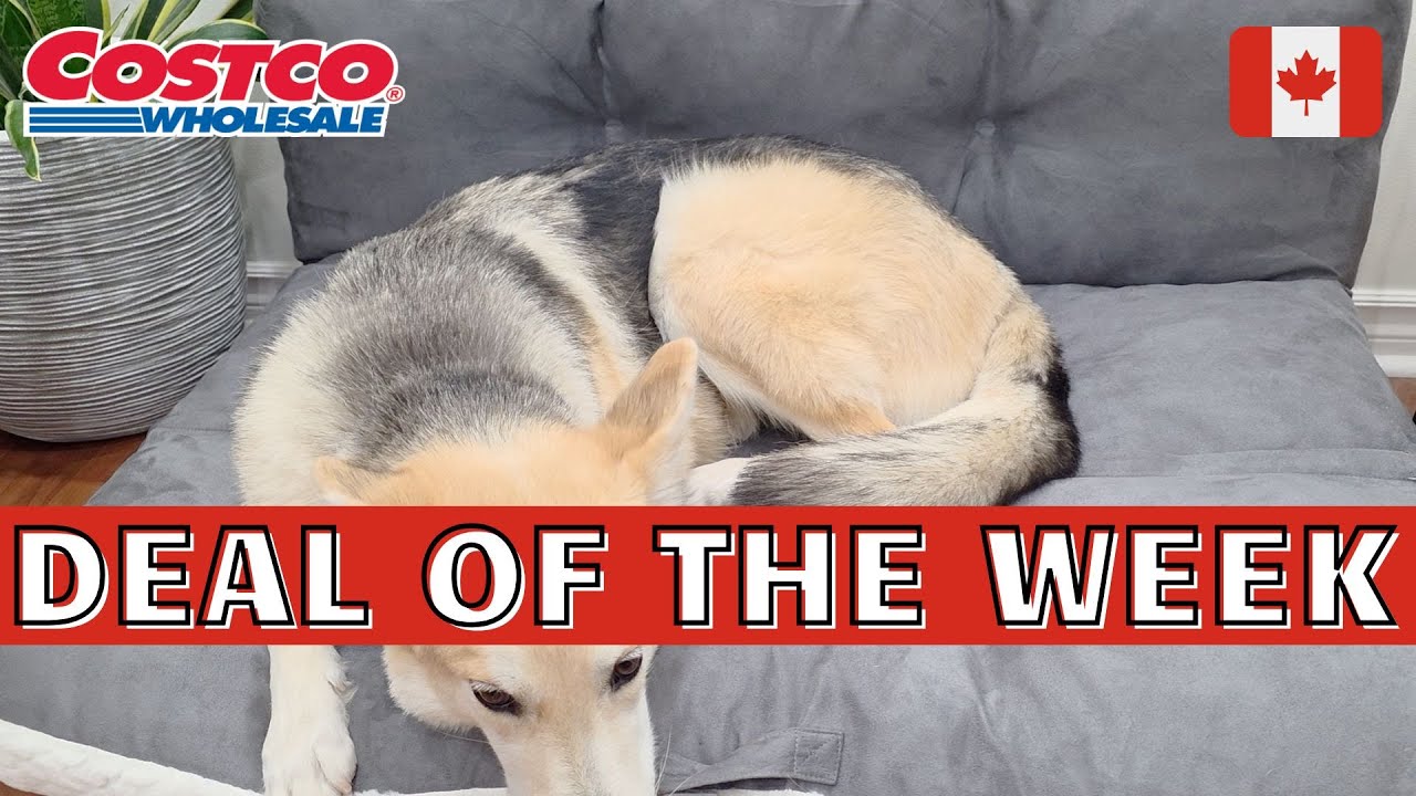 I Spent 24HRS In TORONTO CANADA With An AUDI Group! – Toronto rapper – content – WESHH