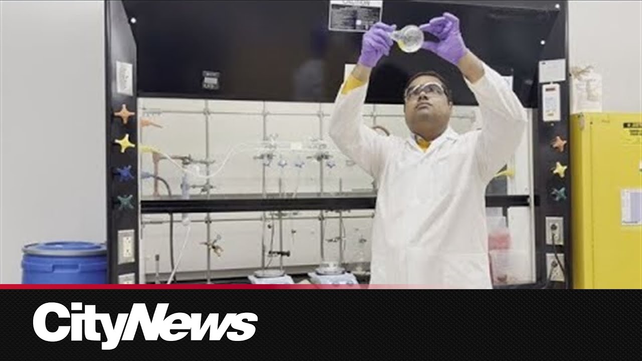 Rate my hair without hurting my feelings 😭✨ – content – WESHH