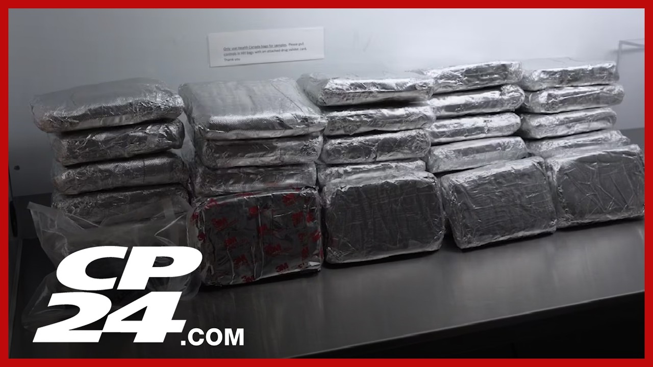 $1.5 million worth in illegal drugs seized in GTA trafficking investigation