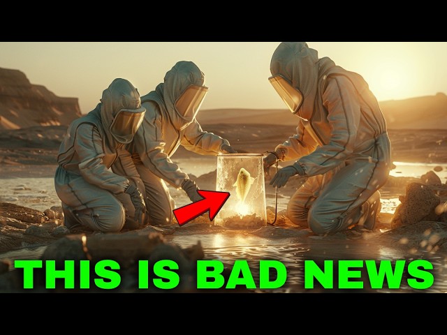 I launched my own AI platform and made 0k in 4 hours – content – WESHH