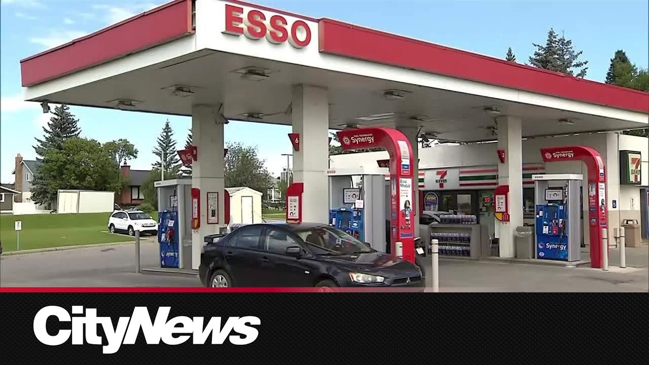 yal gotta see this man ahaha #food #wlw #caribbeanfood – content – WESHH