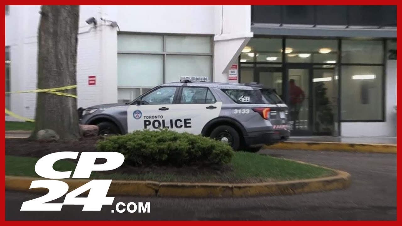 Suspect sketch released in assault of elderly woman in Ajax – Toronto rapper – content – WESHH