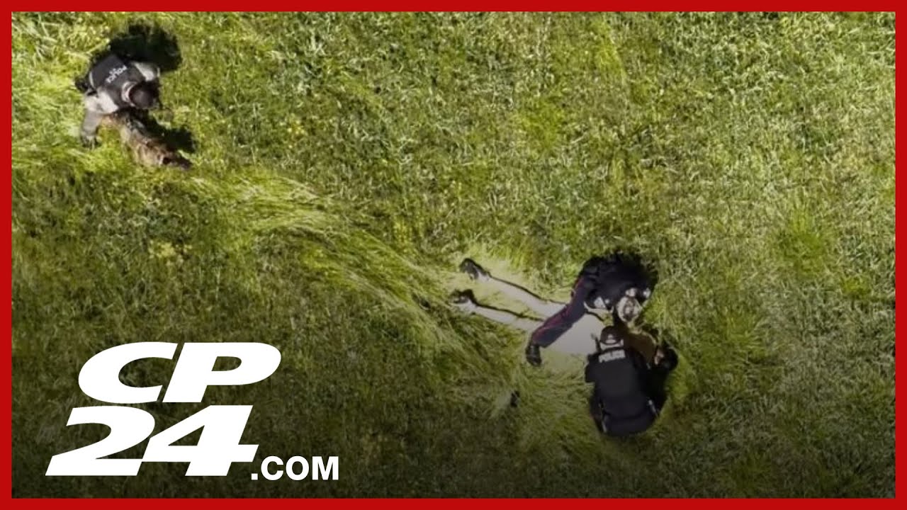 Orillia police make major drug bust in Simcoe County – content – WESHH