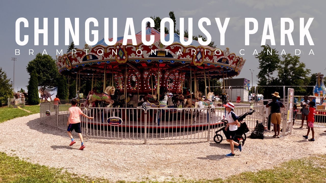 I launched my own AI platform and made 0k in 4 hours – content – WESHH