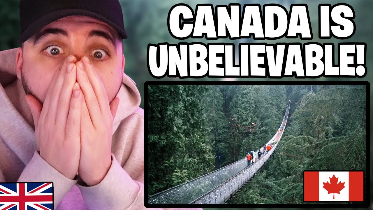 A Tragic Mass Extinction Has Happened in My Rainforest Vivariums – content – WESHH