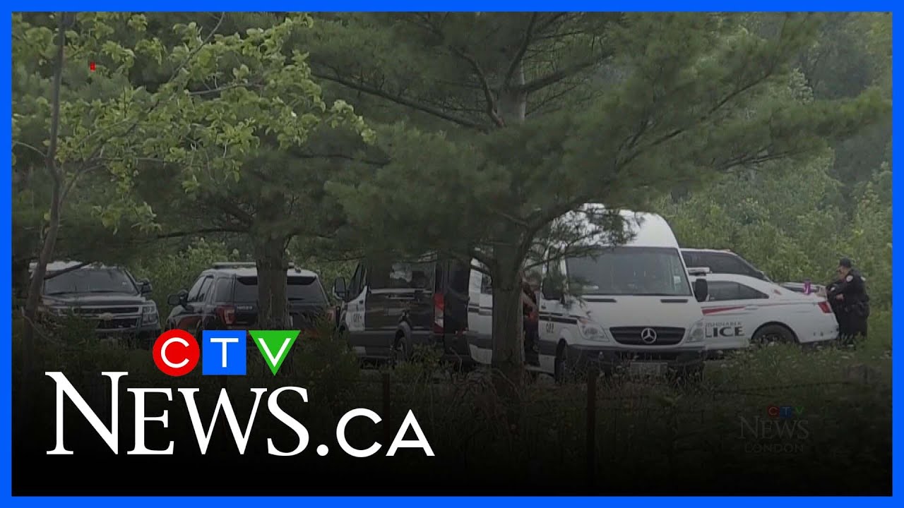 yal gotta see this man ahaha #food #wlw #caribbeanfood – content – WESHH