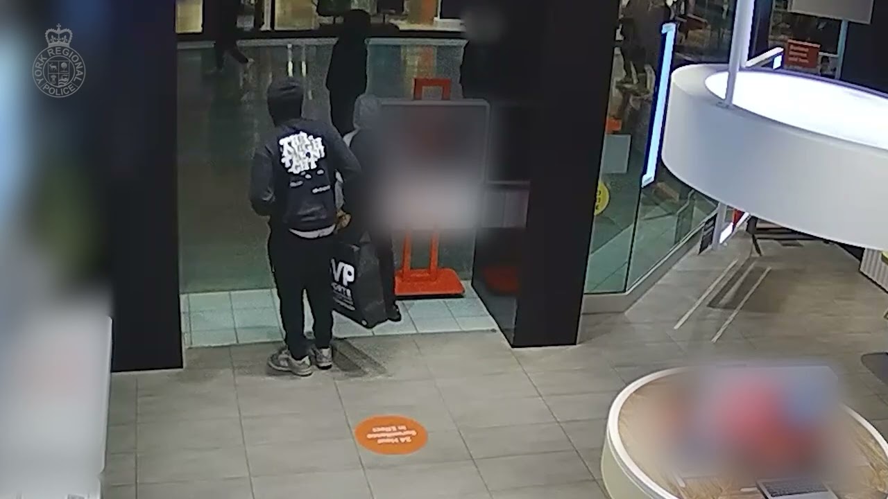 Suspect sketch released in assault of elderly woman in Ajax – Toronto rapper – content – WESHH