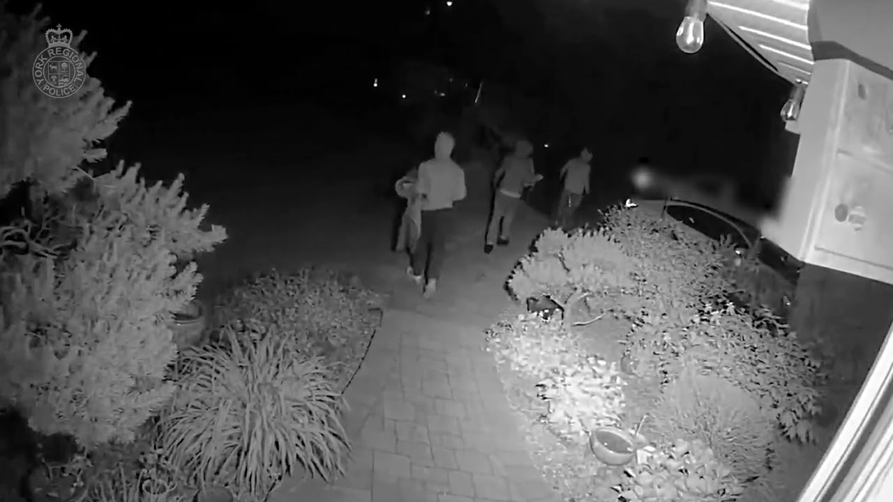 Orillia police make major drug bust in Simcoe County – content – WESHH