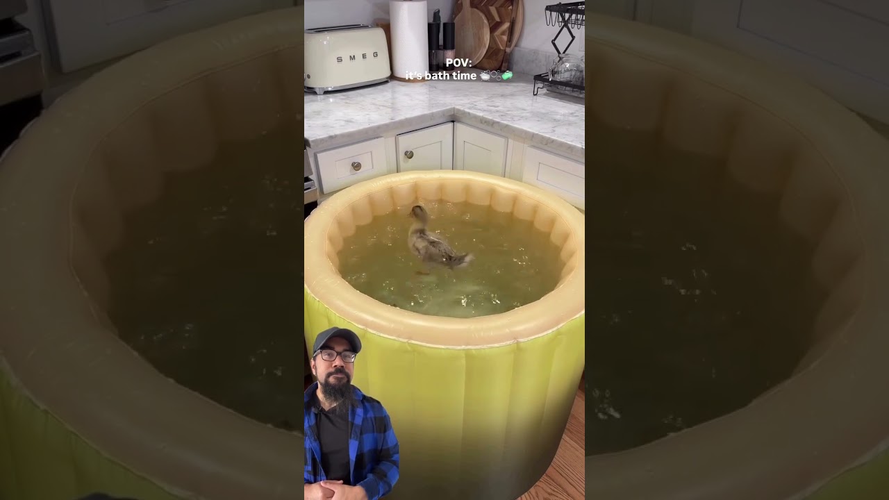 This looks delicious!!!🤤 – content – WESHH